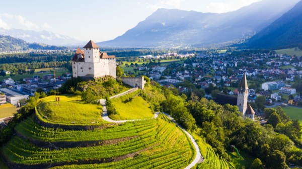 One night in Vaduz: who walks the Rhine with you? travel photo