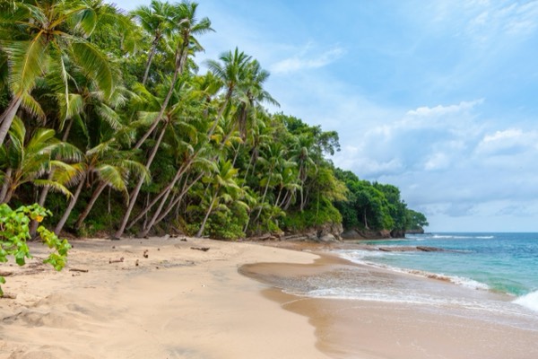 Casco or the Caribbean: who is coming with you to Panama? travel photo