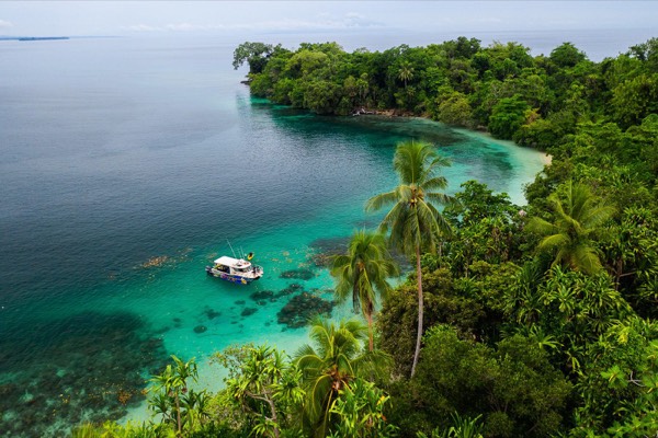Highlands or Milne Bay: who already holds the same PNG hop? travel photo