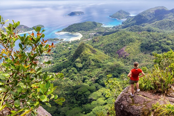 Same Cat Cocos, same kitchen: who shares the Seychelles hop? travel photo