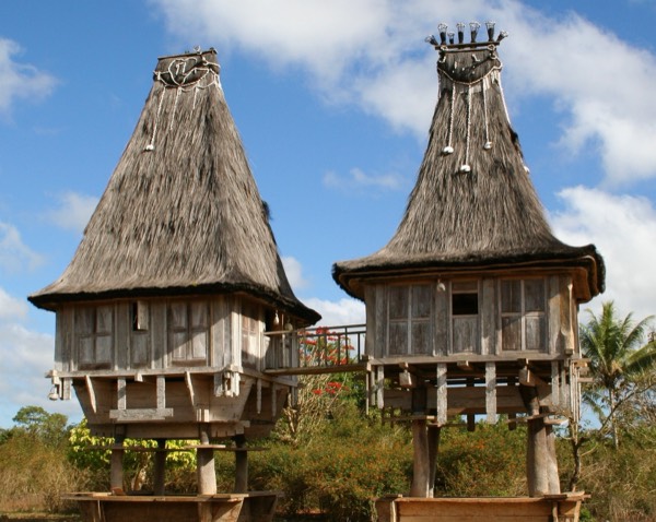 Atauro or the mountain road: who shares Timor-Leste? travel photo