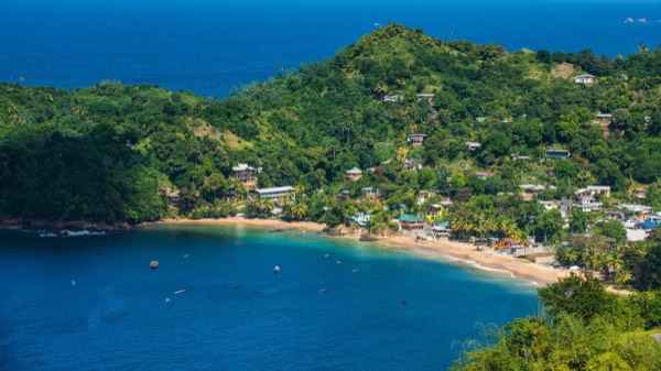 Carnival week or Tobago reefs: which island is the trip? travel photo