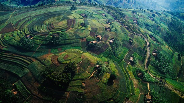 Bwindi morning or Nile day: who already shares your permit? travel photo