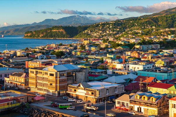 Dominica travel companion photo
